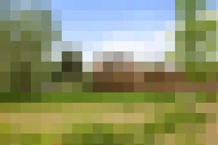 Duinhof 27 Den Helder thumbnail 35