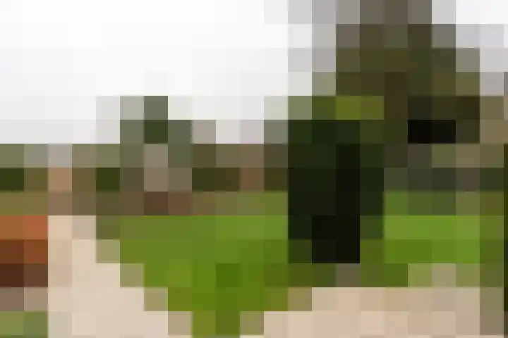 Duinhof 27 Den Helder thumbnail 37