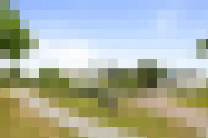Duinhof 27 Den Helder thumbnail 37