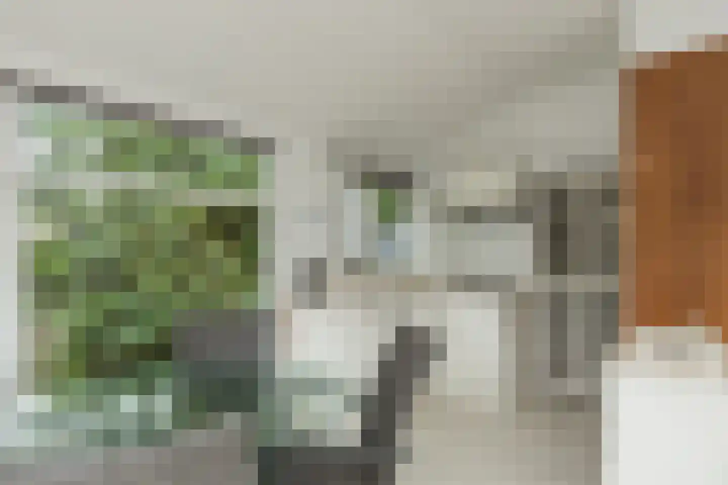 Duinhorst 100 Noordwijk thumbnail 11