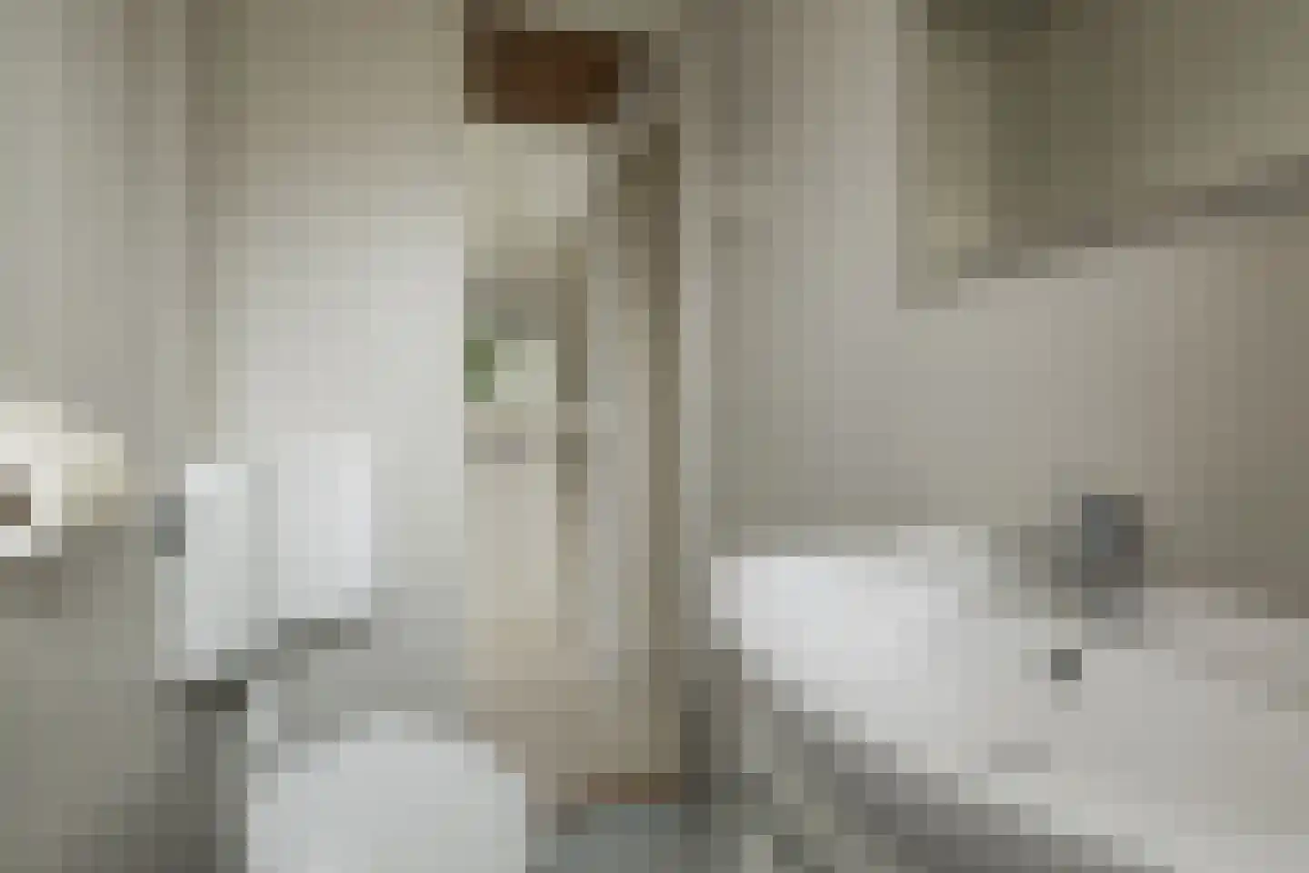 Duinhorst 100 Noordwijk thumbnail 16
