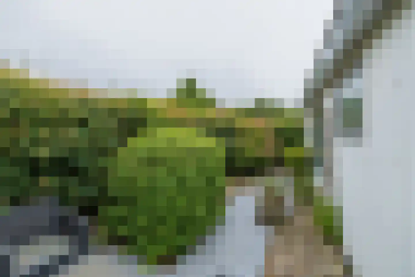 Duinhorst 100 Noordwijk thumbnail 19