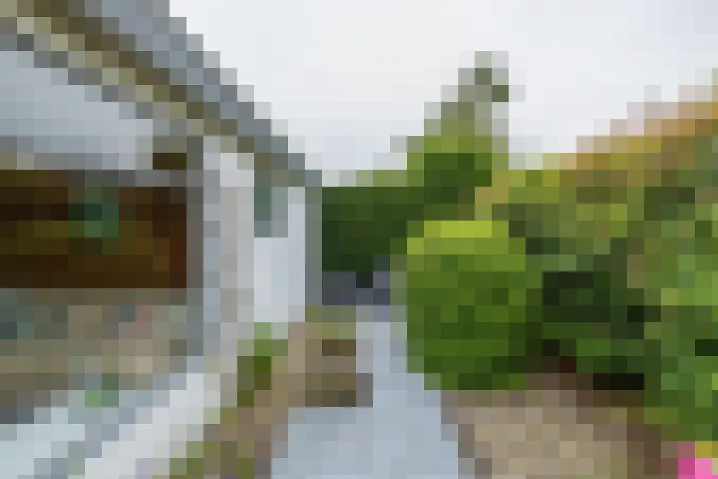 Duinhorst 100 Noordwijk thumbnail 20