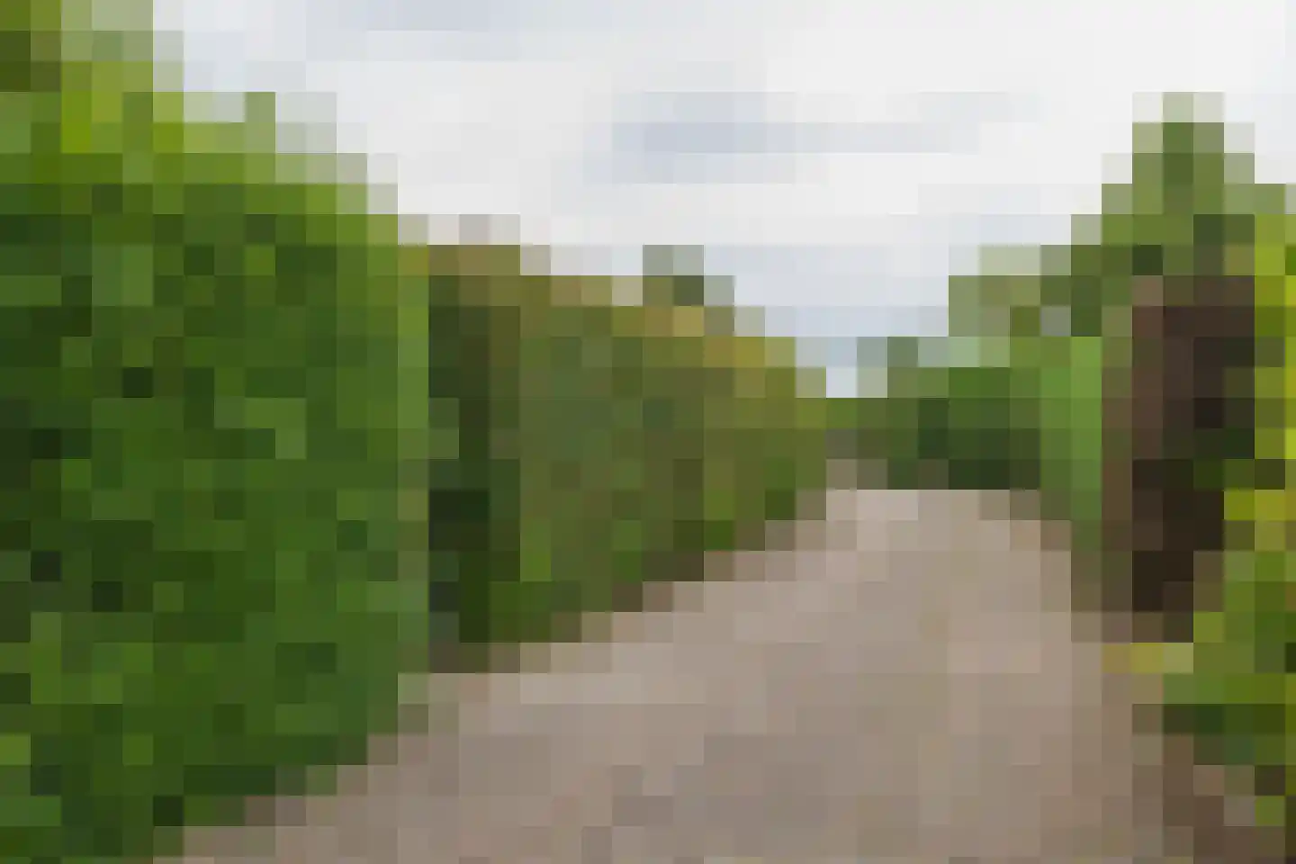 Duinhorst 100 Noordwijk thumbnail 23