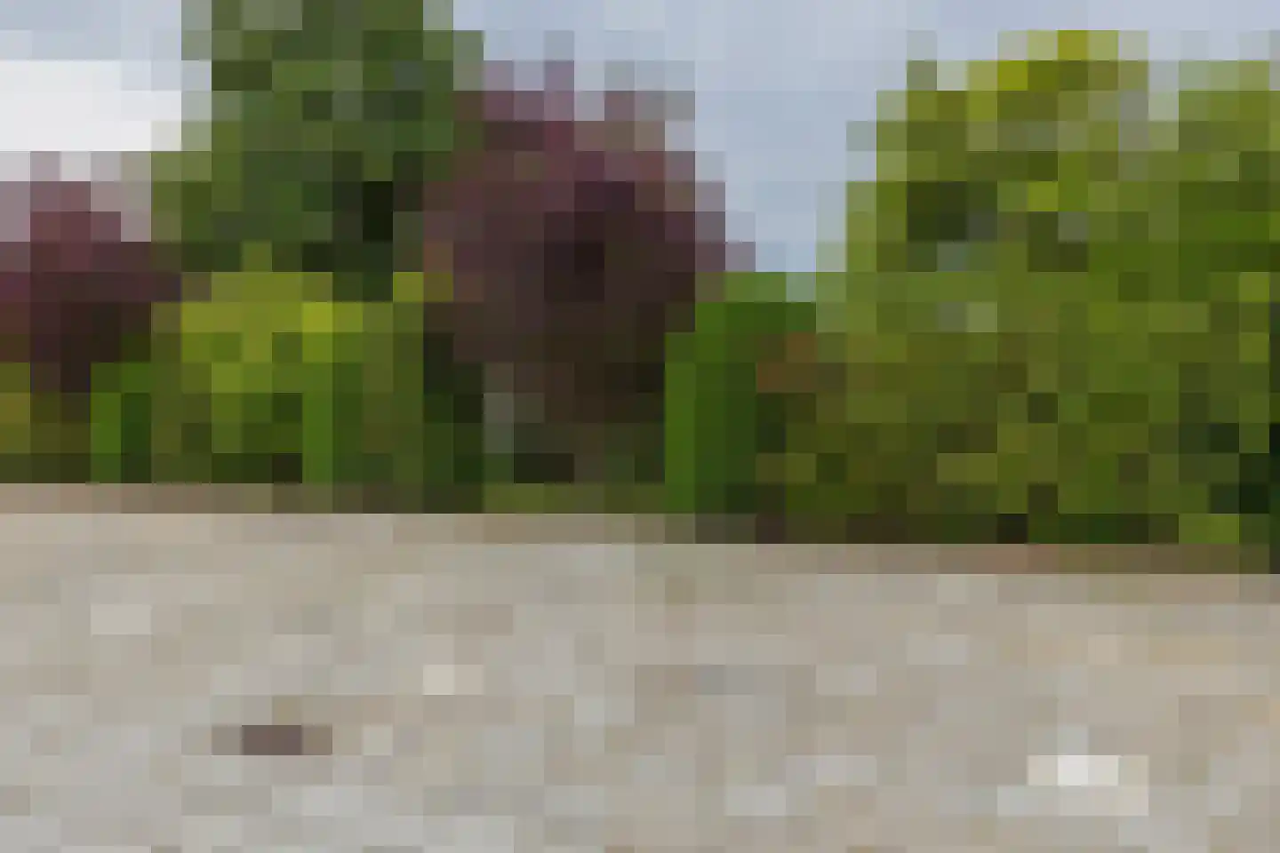 Duinhorst 100 Noordwijk thumbnail 24