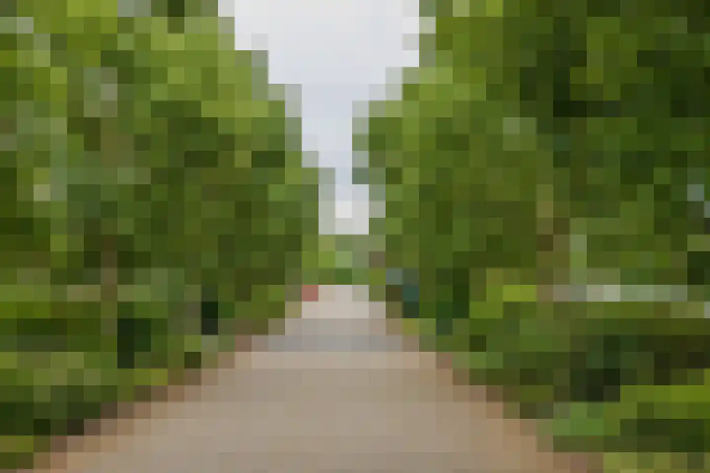 Duinhorst 100 Noordwijk thumbnail 25