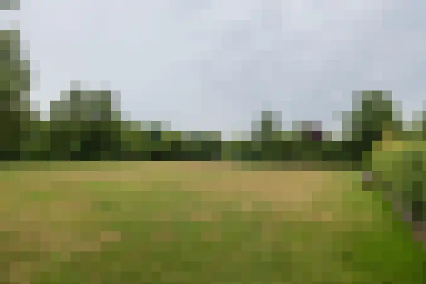 Duinhorst 100 Noordwijk thumbnail 26