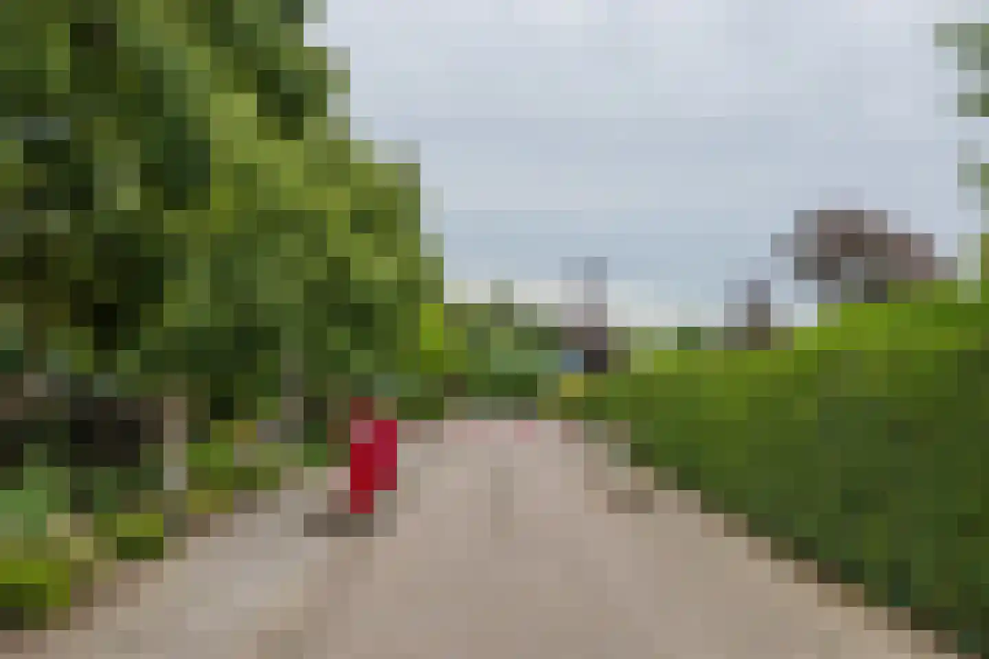 Duinhorst 100 Noordwijk thumbnail 28