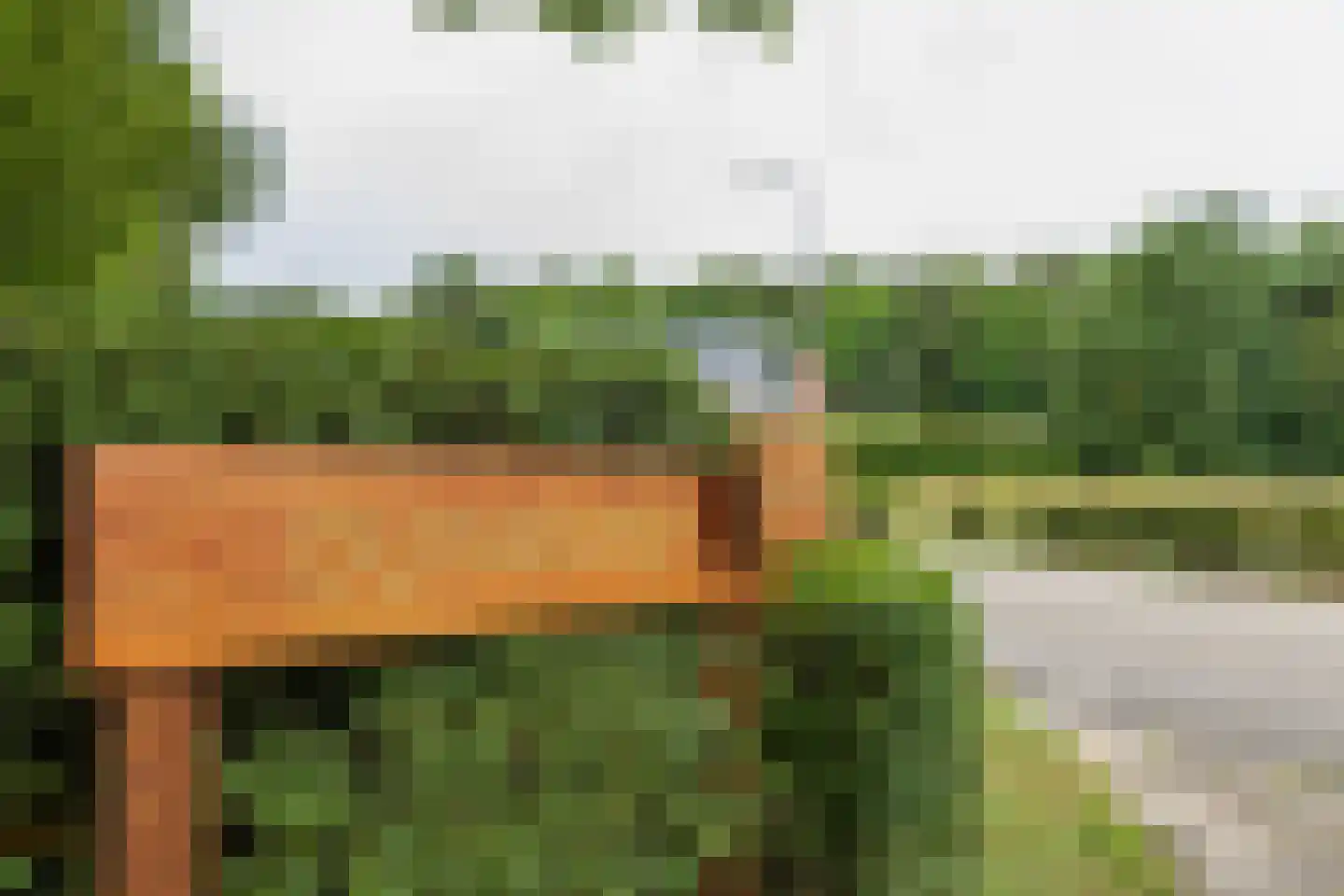 Duinhorst 100 Noordwijk thumbnail 29
