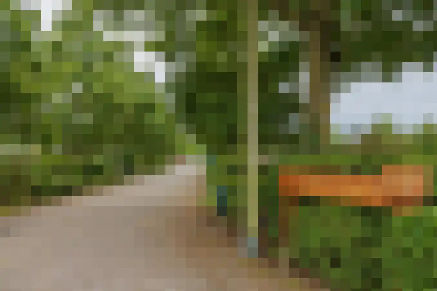 Duinhorst 100 Noordwijk thumbnail 4