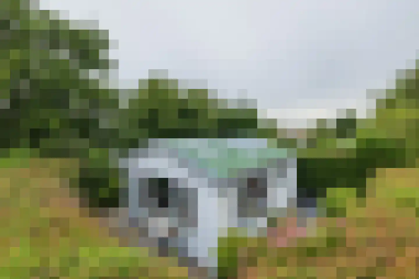 Duinhorst 100 Noordwijk thumbnail 5