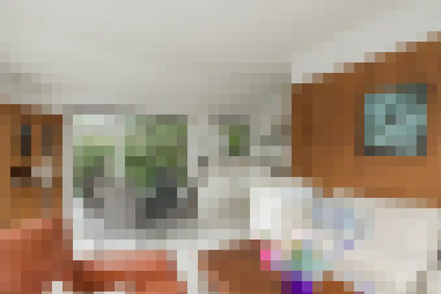 Duinhorst 100 Noordwijk thumbnail 9
