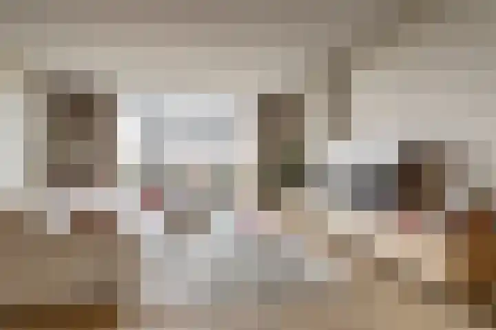 Duinhuislaan 23 Noordwijkerhout thumbnail 12