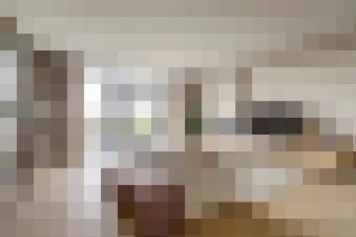 Duinhuislaan 23 Noordwijkerhout thumbnail 14