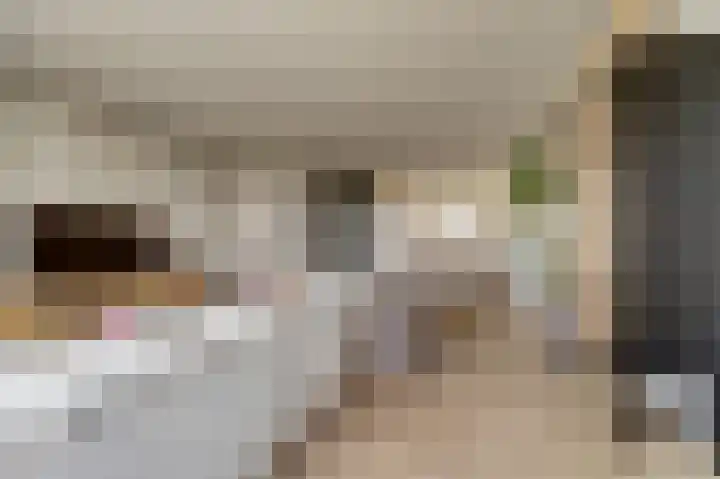 Duinhuislaan 23 Noordwijkerhout thumbnail 16