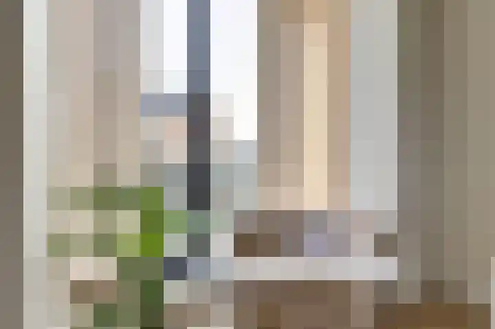 Duinhuislaan 23 Noordwijkerhout thumbnail 19