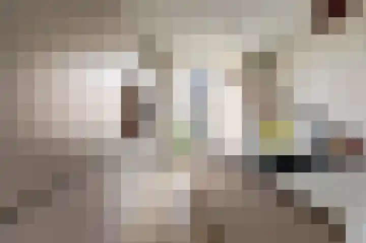 Duinhuislaan 23 Noordwijkerhout thumbnail 22