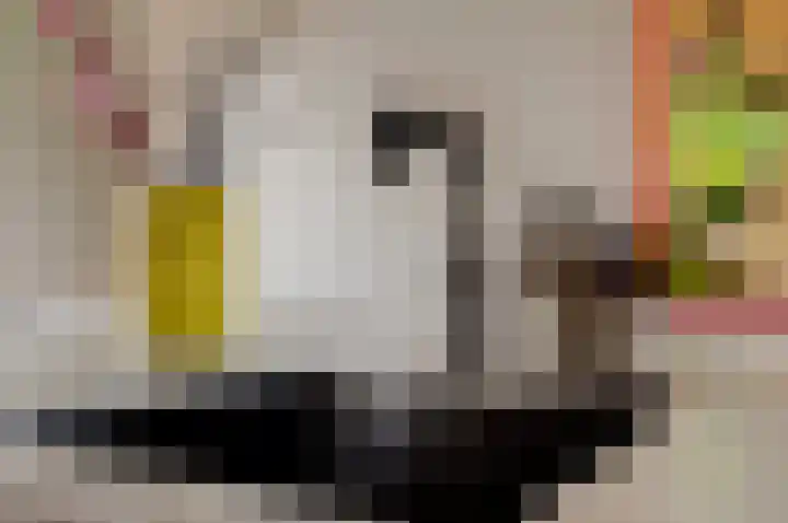 Duinhuislaan 23 Noordwijkerhout thumbnail 23