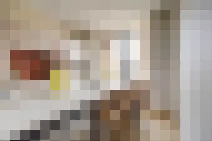 Duinhuislaan 23 Noordwijkerhout thumbnail 27