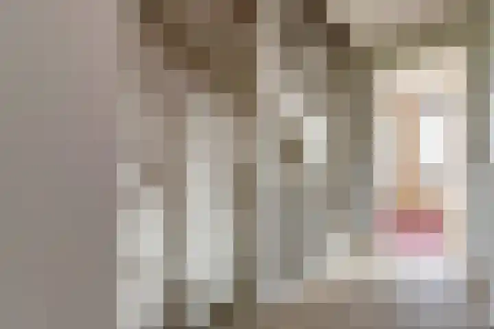 Duinhuislaan 23 Noordwijkerhout thumbnail 29