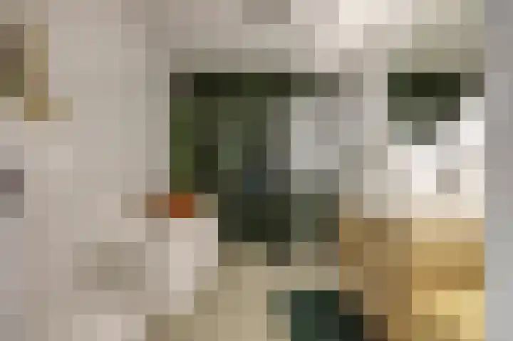 Duinhuislaan 23 Noordwijkerhout thumbnail 36