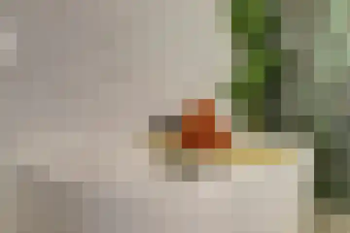 Duinhuislaan 23 Noordwijkerhout thumbnail 38