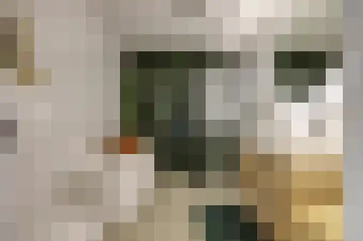 Duinhuislaan 23 Noordwijkerhout thumbnail 4