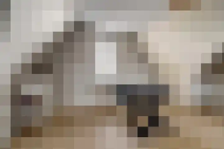 Duinhuislaan 23 Noordwijkerhout thumbnail 47