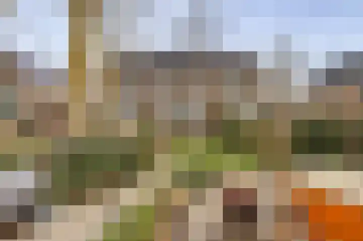 Duinhuislaan 23 Noordwijkerhout thumbnail 54