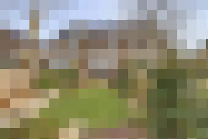 Duinhuislaan 23 Noordwijkerhout thumbnail 55