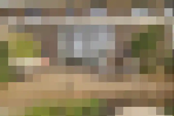 Duinhuislaan 23 Noordwijkerhout thumbnail 56