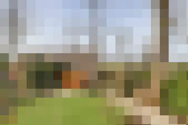 Duinhuislaan 23 Noordwijkerhout thumbnail 58