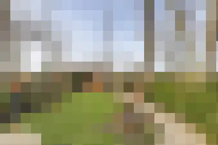 Duinhuislaan 23 Noordwijkerhout thumbnail 6