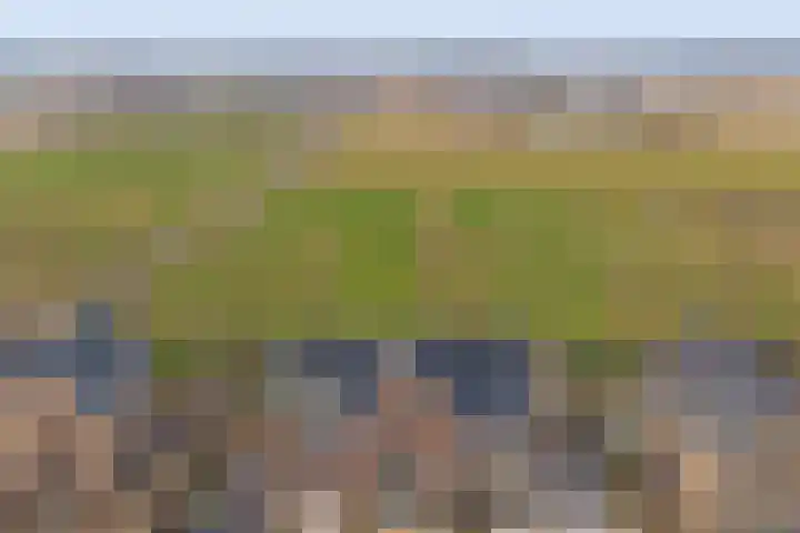 Duinhuislaan 23 Noordwijkerhout thumbnail 65