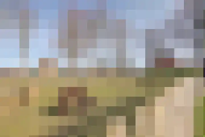Duinhuislaan 23 Noordwijkerhout thumbnail 71