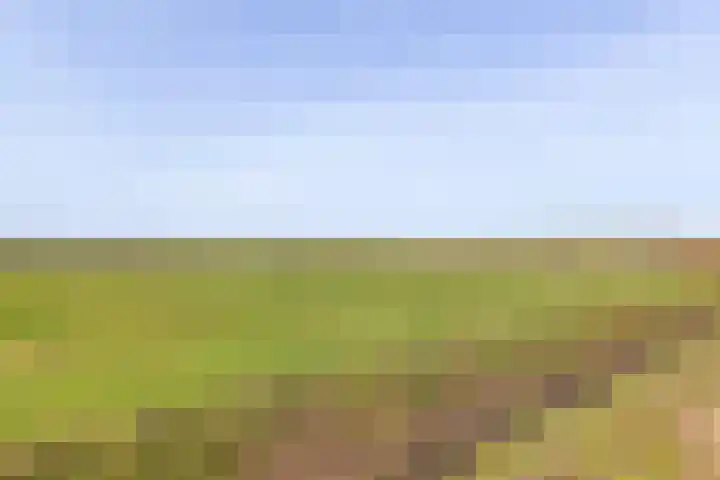 Duinhuislaan 23 Noordwijkerhout thumbnail 74