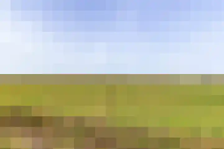 Duinhuislaan 23 Noordwijkerhout thumbnail 75