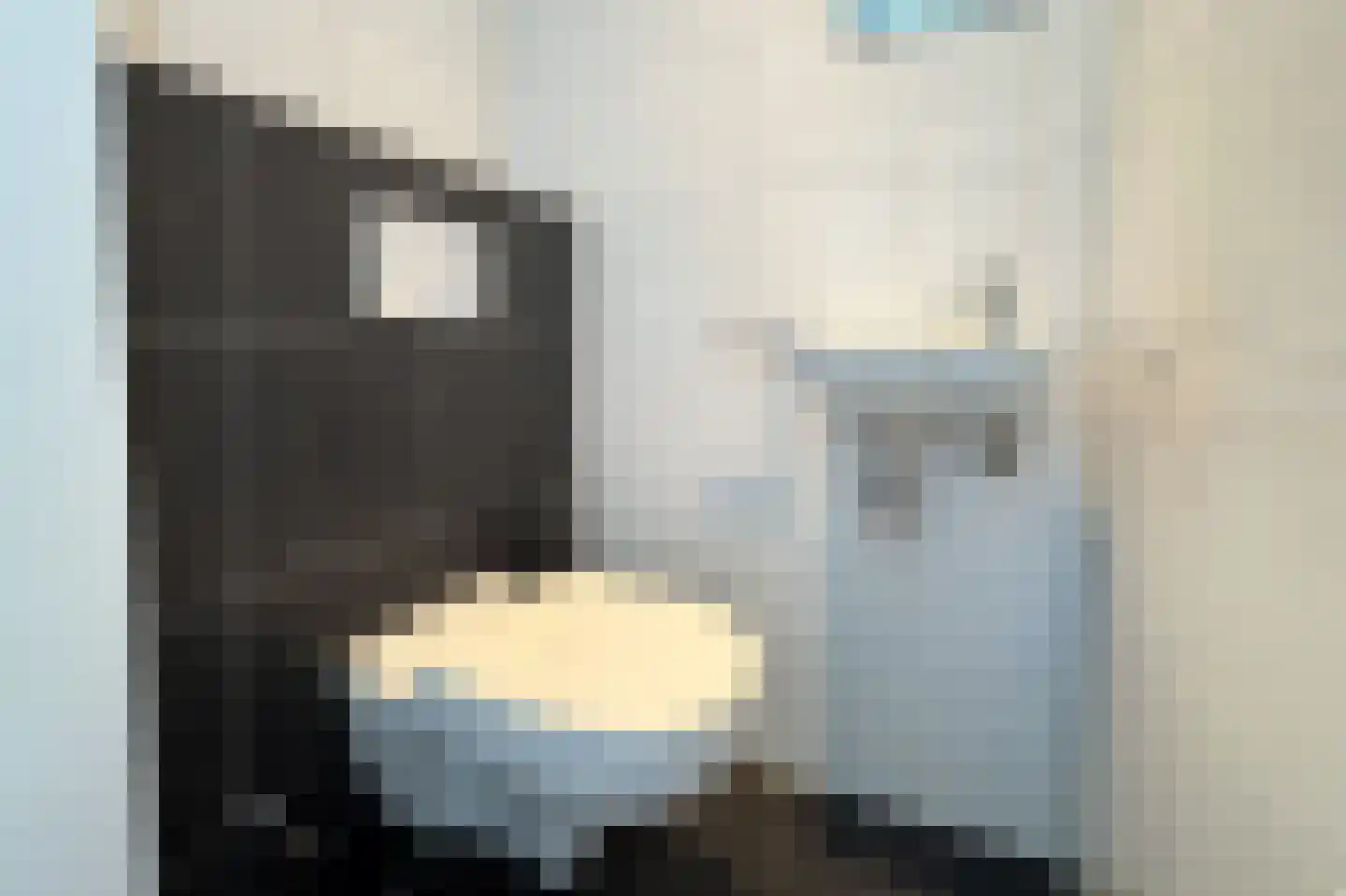 Duinigermeerweg 1 R 12 Blokzijl thumbnail 16