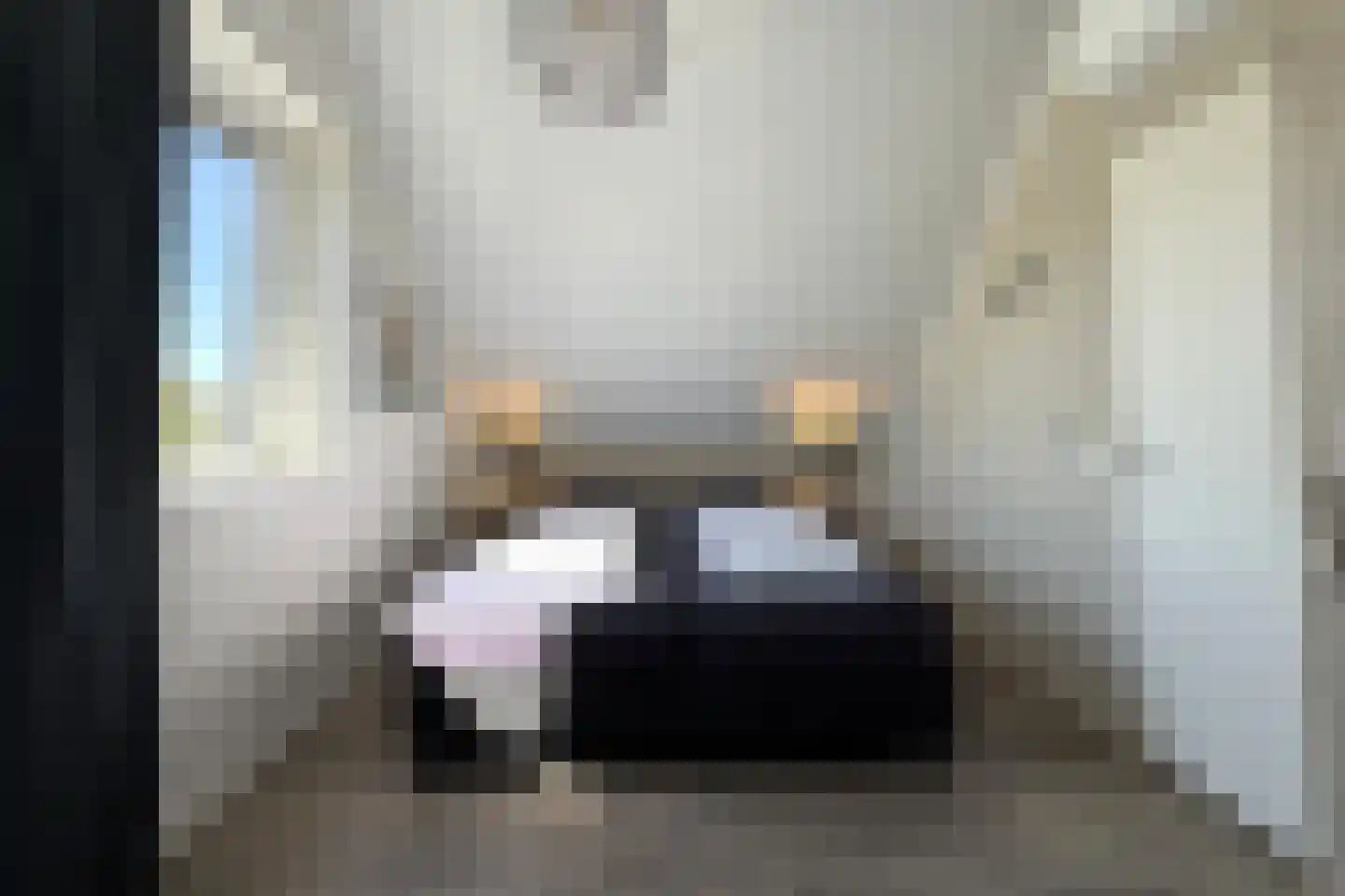 Duinigermeerweg 1 R 12 Blokzijl thumbnail 20