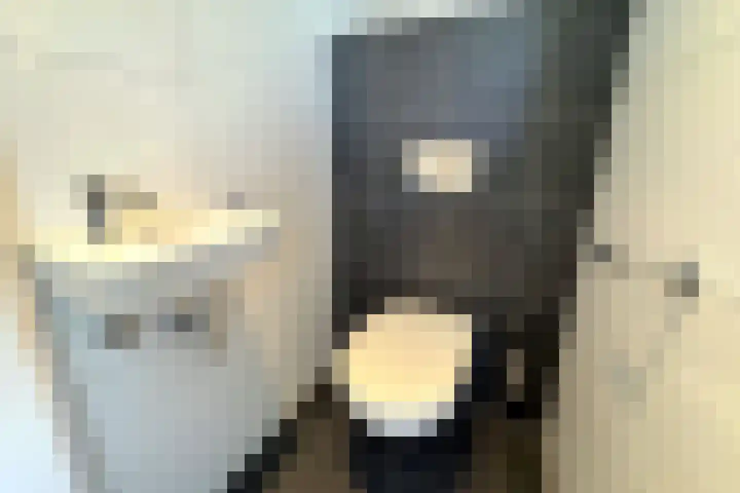 Duinigermeerweg 1 R 12 Blokzijl thumbnail 22