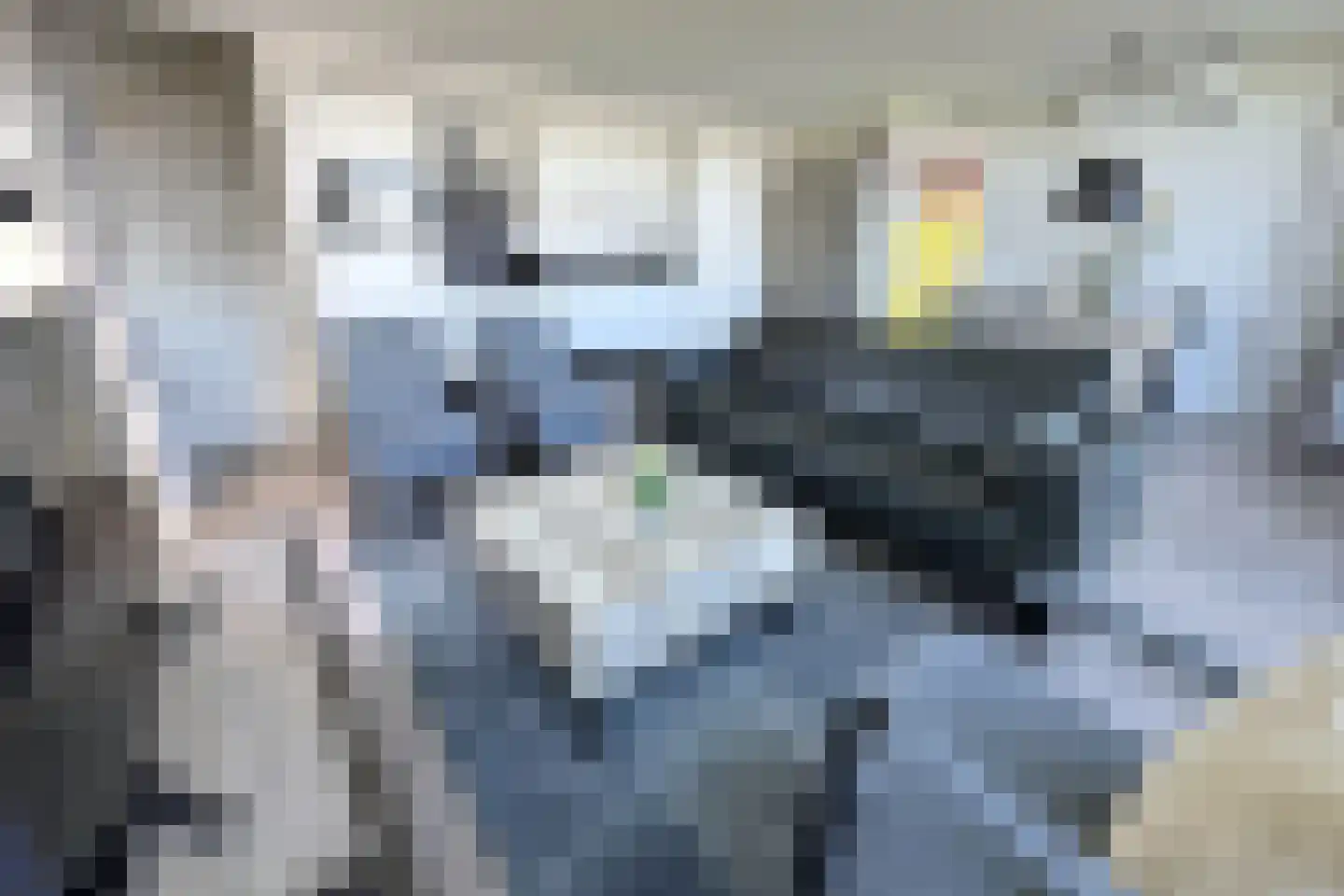 Duinigermeerweg 1 R 12 Blokzijl thumbnail 8