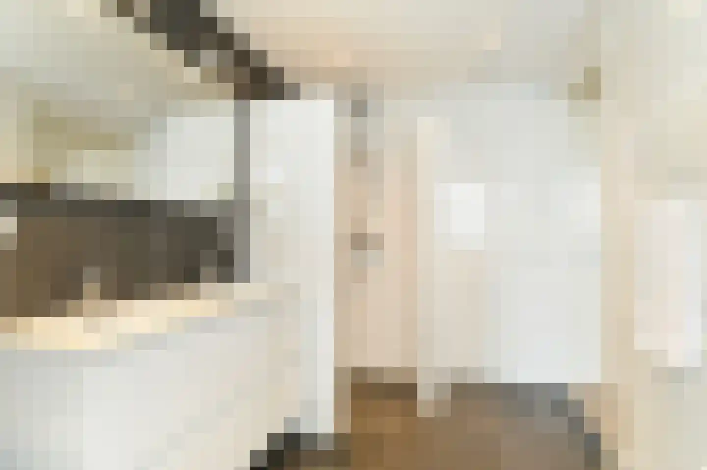 Duinigermeerweg 1 R 26 Blokzijl thumbnail 19