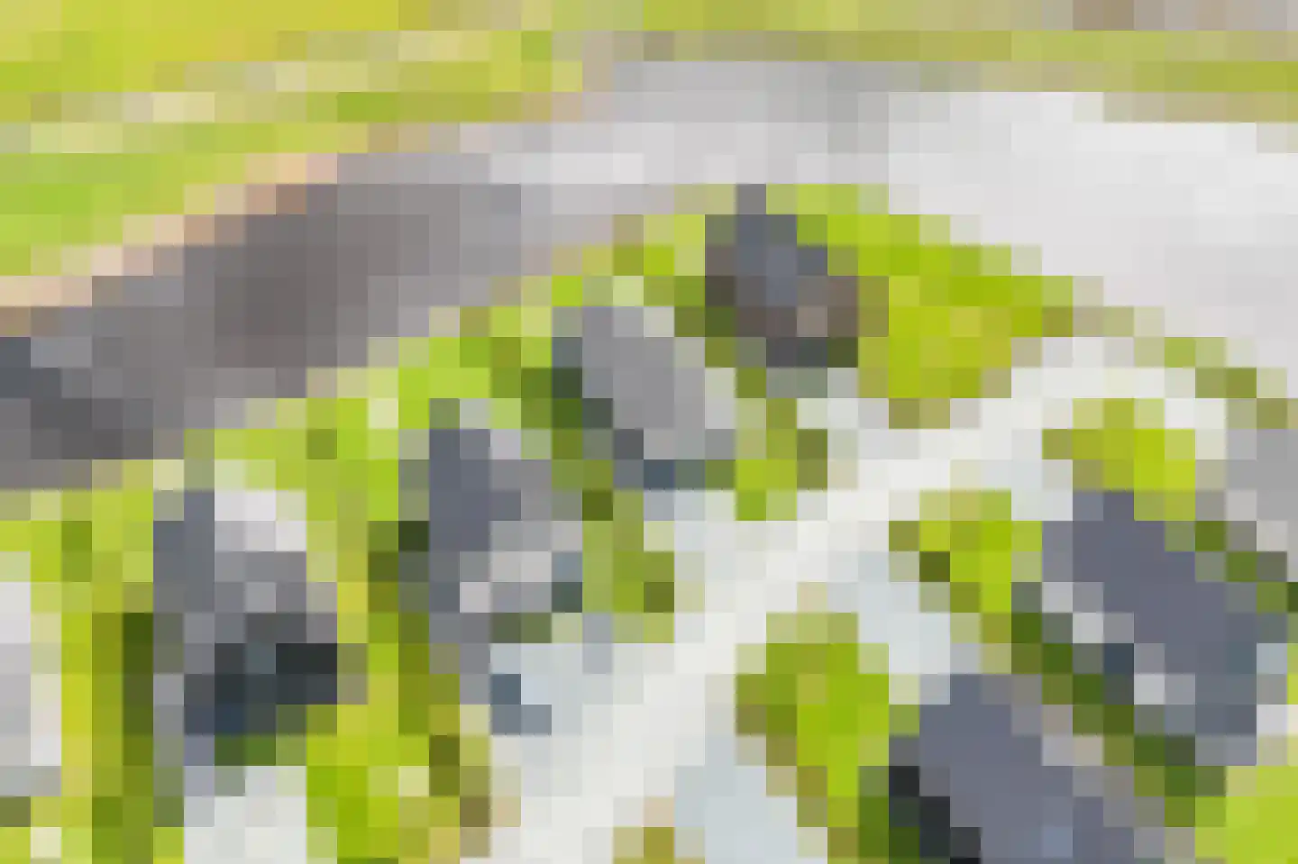 Duinigermeerweg 1 R 26 Blokzijl thumbnail 5