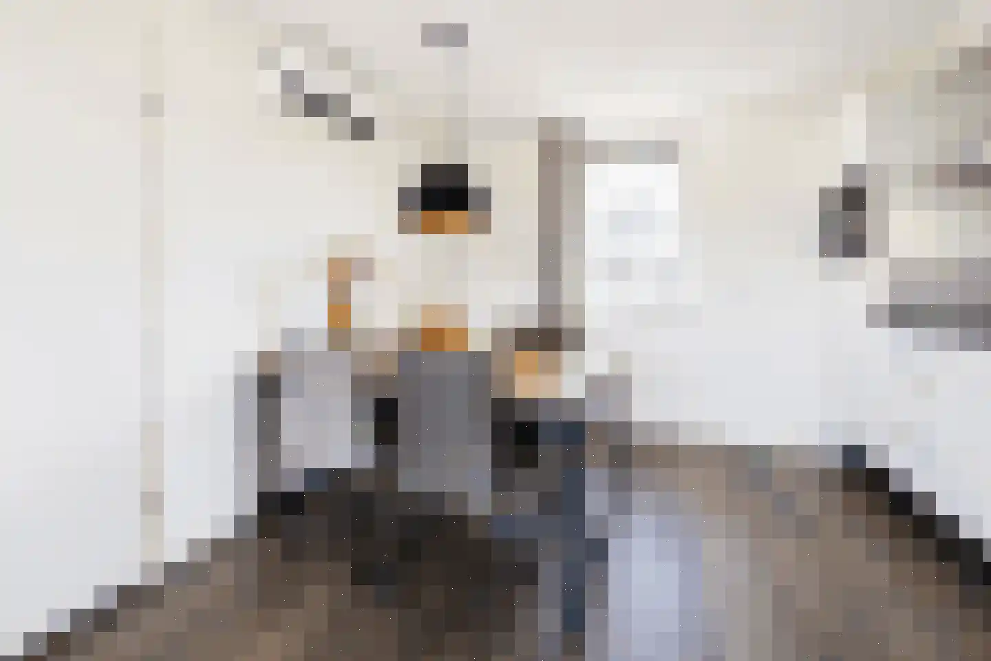 Duinigermeerweg 1 R 31 Blokzijl thumbnail 10
