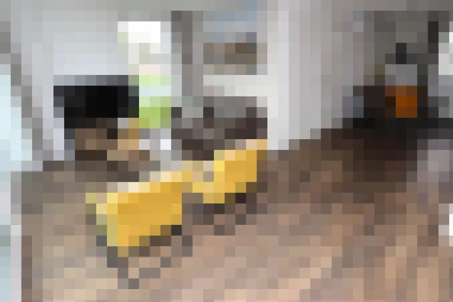 Duinigermeerweg 1 R 31 Blokzijl thumbnail 10