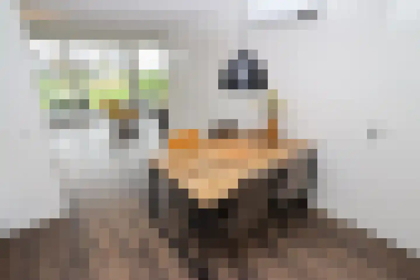Duinigermeerweg 1 R 31 Blokzijl thumbnail 11
