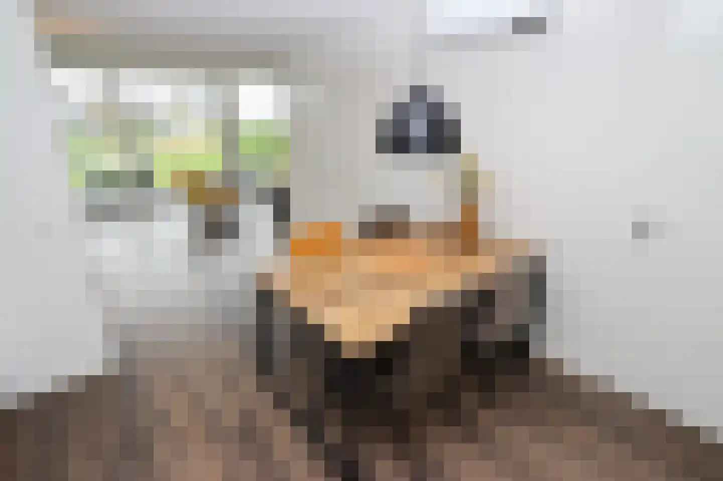 Duinigermeerweg 1 R 31 Blokzijl thumbnail 11