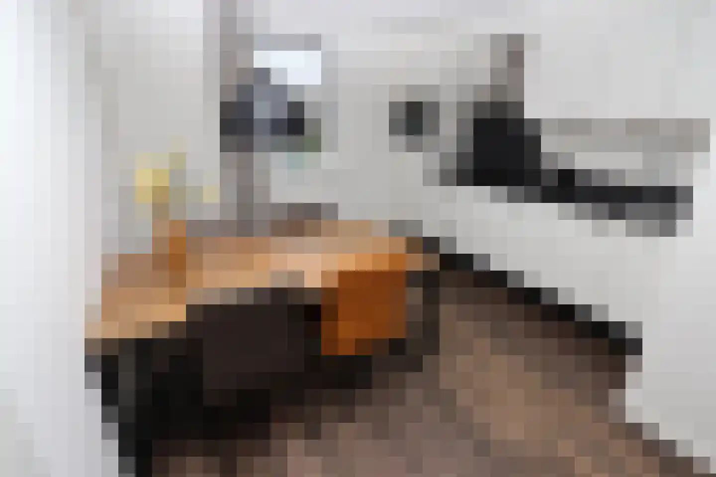 Duinigermeerweg 1 R 31 Blokzijl thumbnail 12
