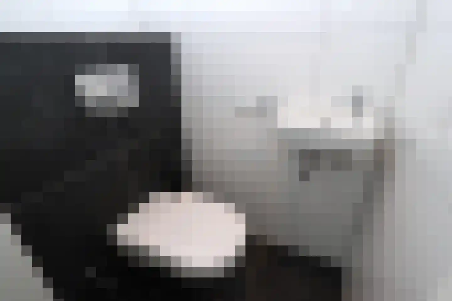 Duinigermeerweg 1 R 31 Blokzijl thumbnail 14