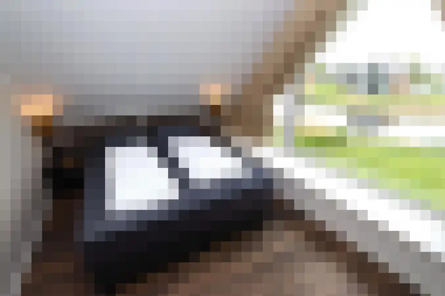 Duinigermeerweg 1 R 31 Blokzijl thumbnail 17